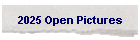 2025 Open Pictures
